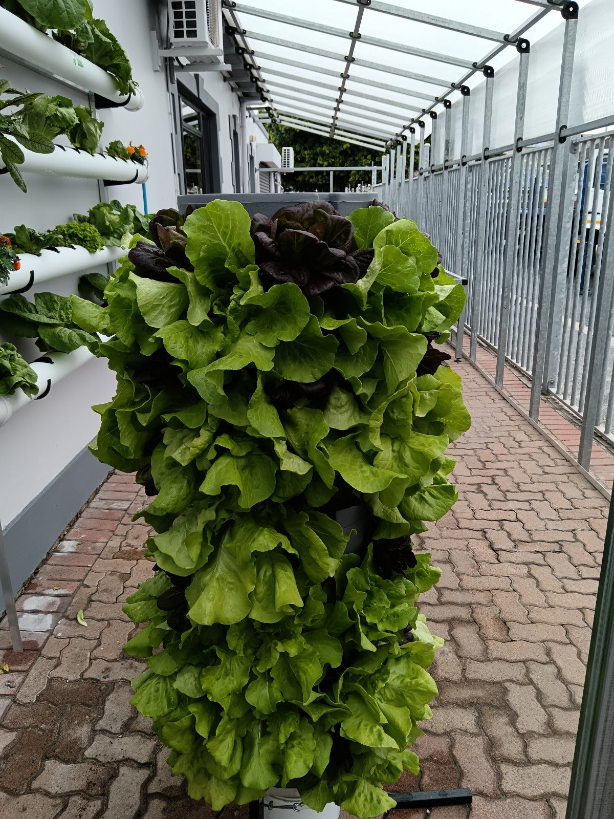 GROW TOWER