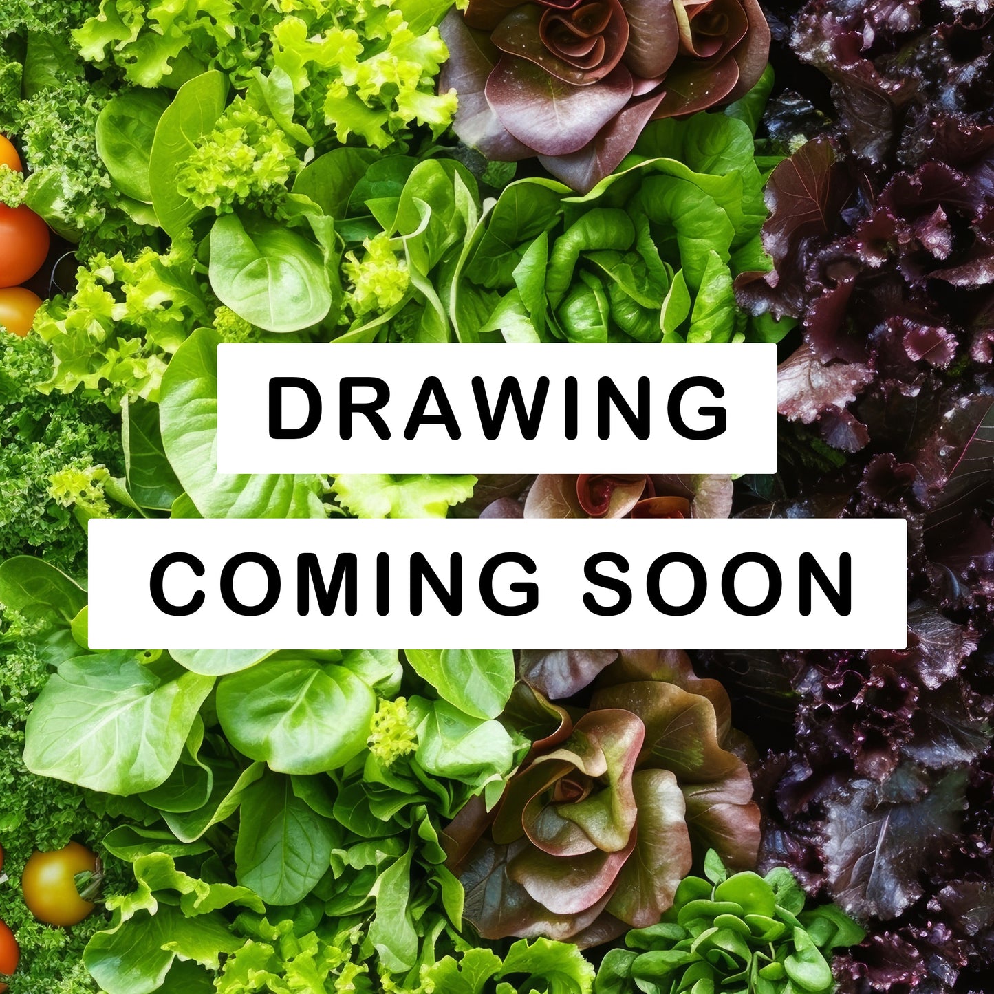 THE PARSLEY