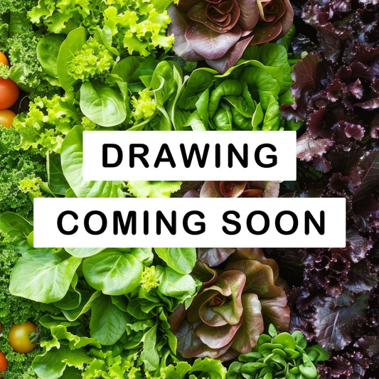 THE PARSLEY
