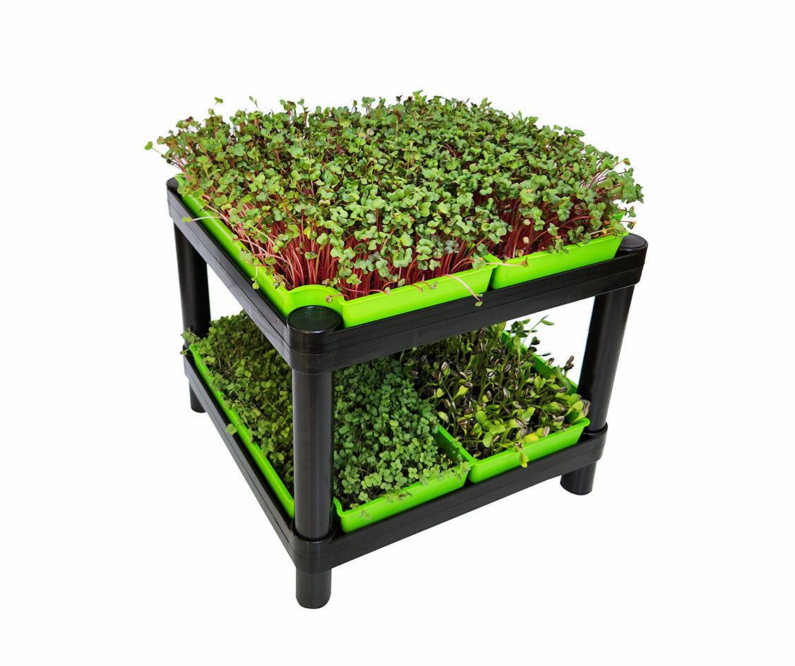 MICROGREEN KIT DELUXE