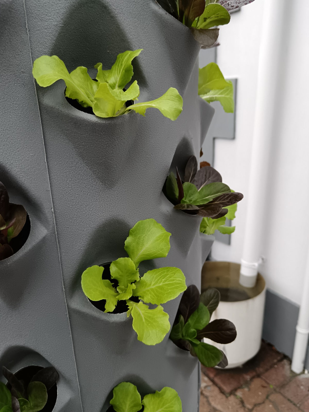 GROW TOWER