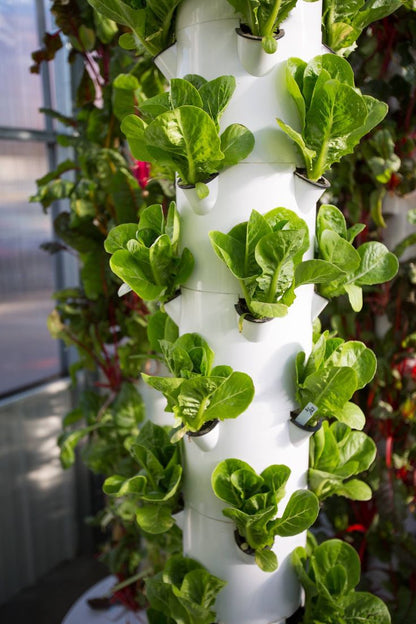 5 Tier Hydroponic Grow Tower